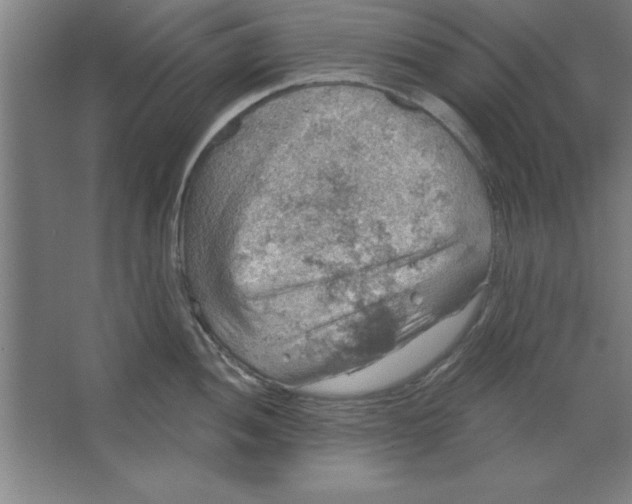 X0000067471052200604281849