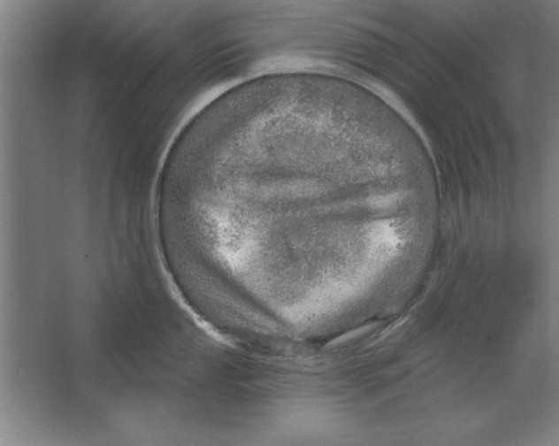 X0000067471053200604281849