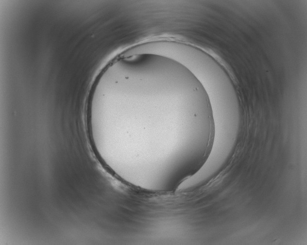 X0000067471054200604281849