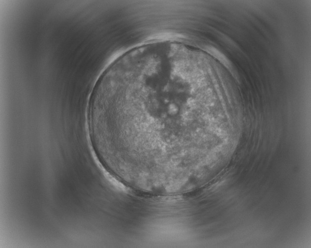 X0000067471055200604281849