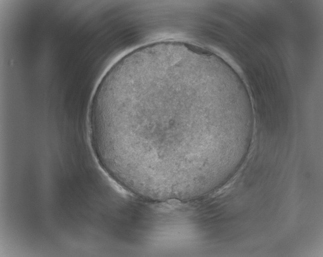 X0000067471056200604281849