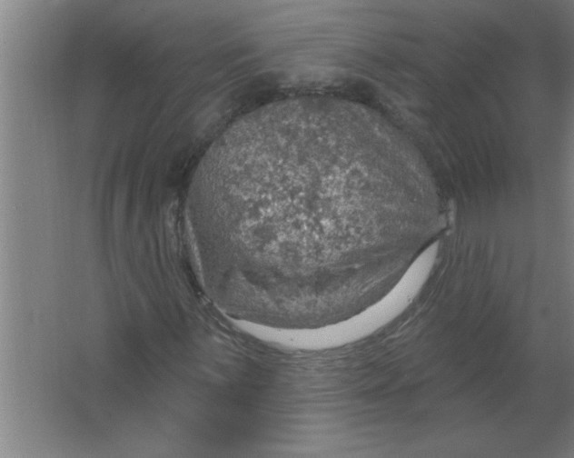 X0000067471059200604281848