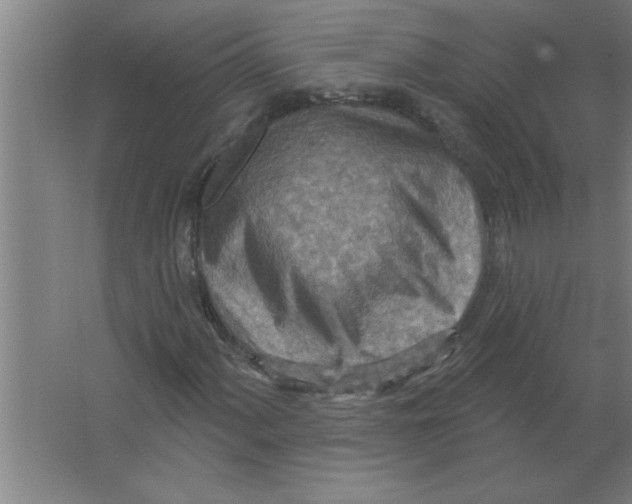 X0000067471060200604281848