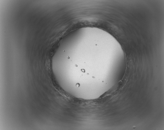 X0000067471061200604281848