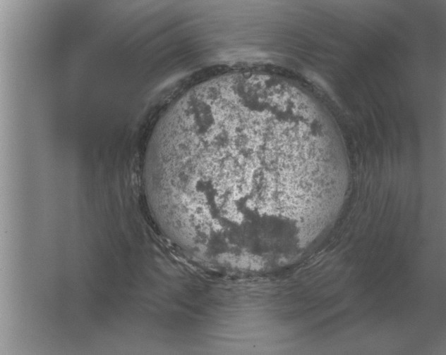 X0000067471063200604281848