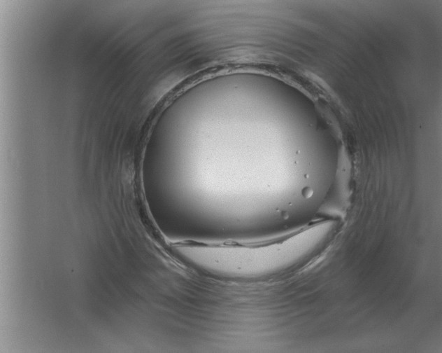 X0000067471065200604281848