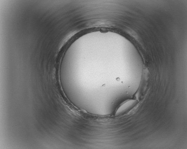 X0000067471066200604281848