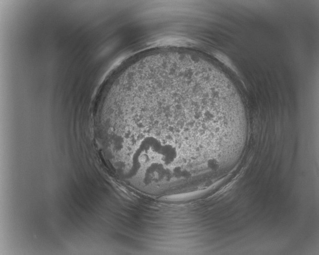 X0000067471067200604281848