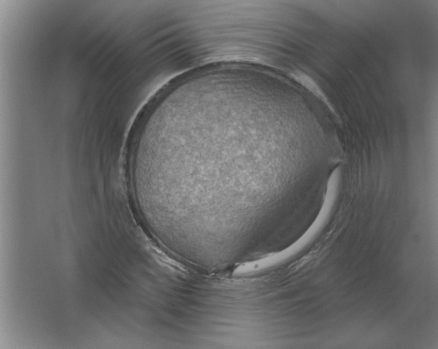 X0000067471068200604281848