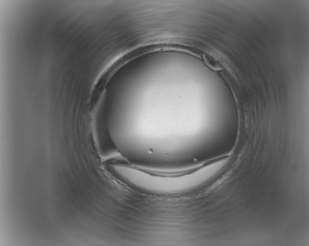 X0000067471069200604281848