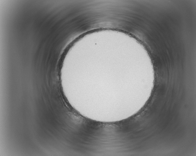 X0000067471070200604281848