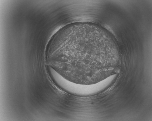 X0000067471071200604281848