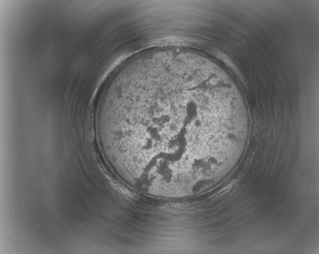 X0000067471075200604281848