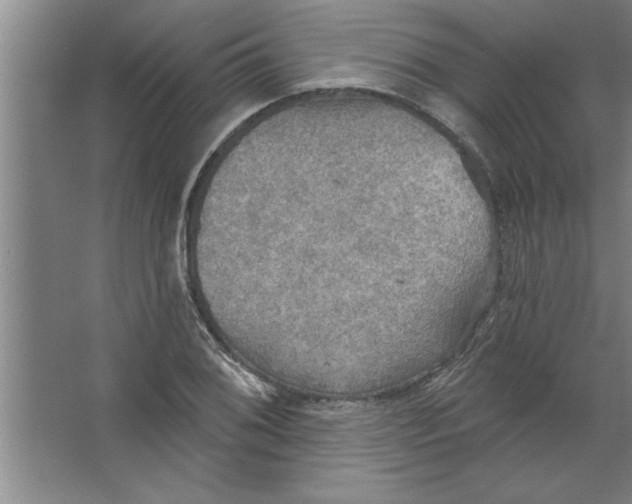 X0000067471076200604281848