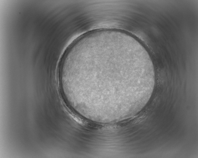 X0000067471078200604281848