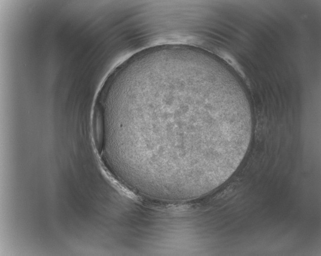 X0000067471080200604281848