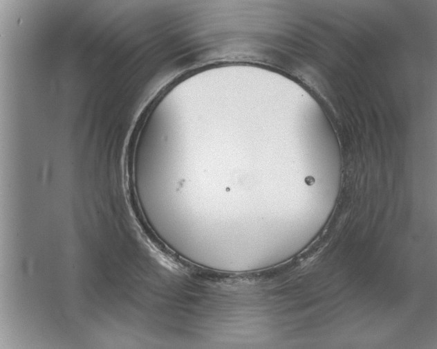 X0000067471082200604281848