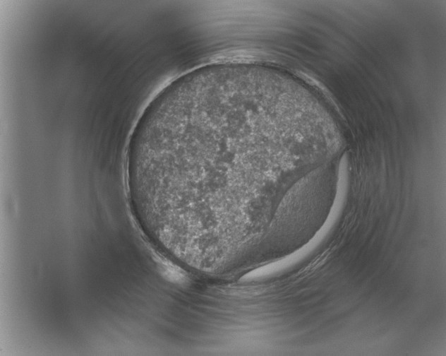 X0000067471083200604281848