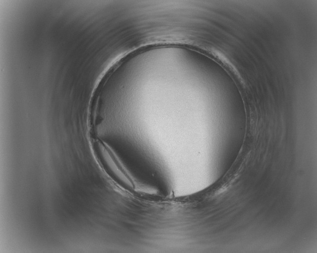 X0000067471085200604281848