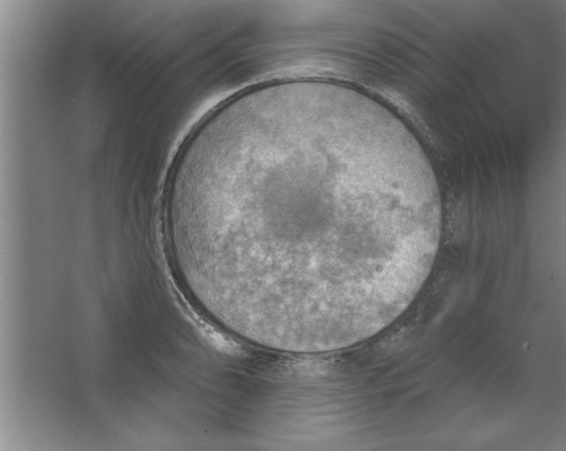 X0000067471086200604281848