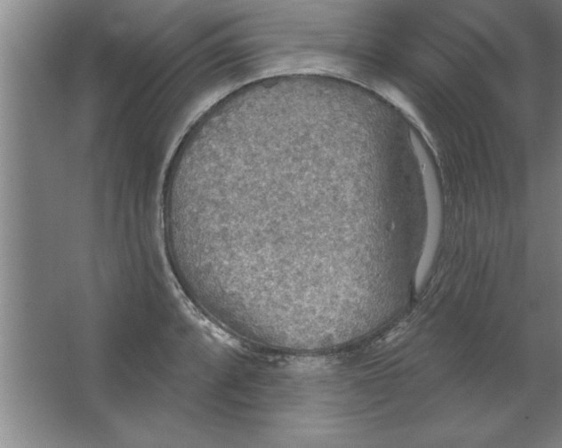 X0000067471088200604281848