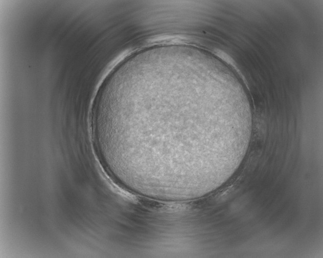 X0000067471090200604281848