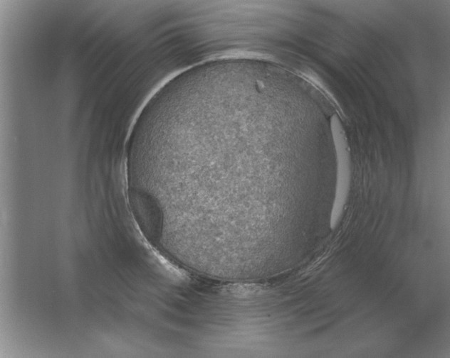 X0000067471092200604281848