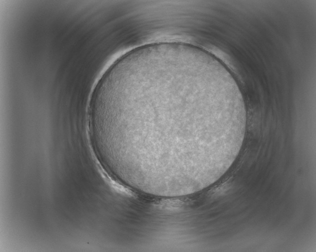 X0000067471094200604281848