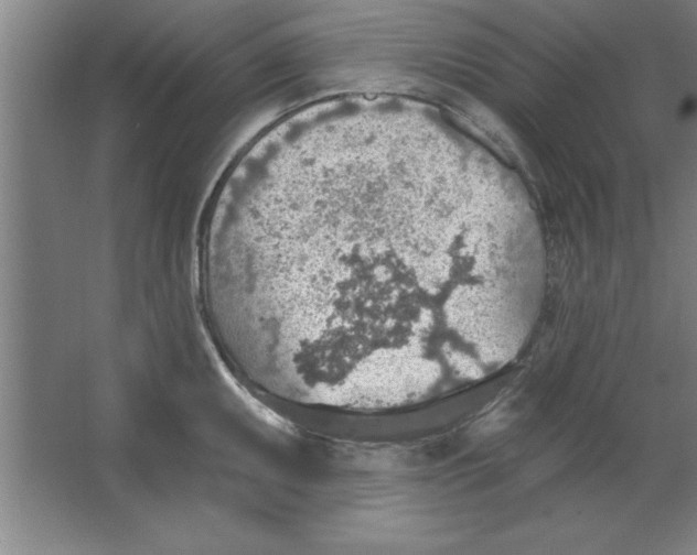 X0000067471095200604281848