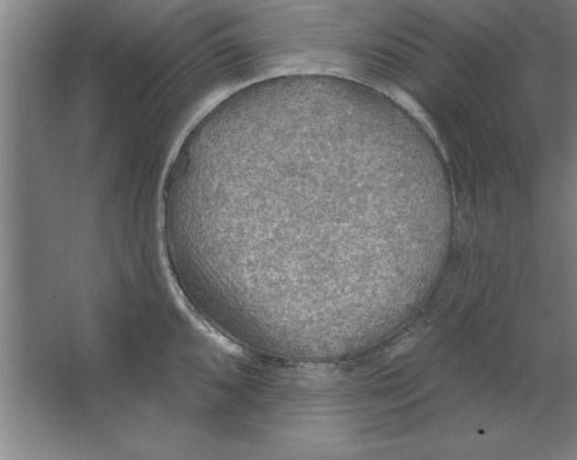 X0000067471096200604281848