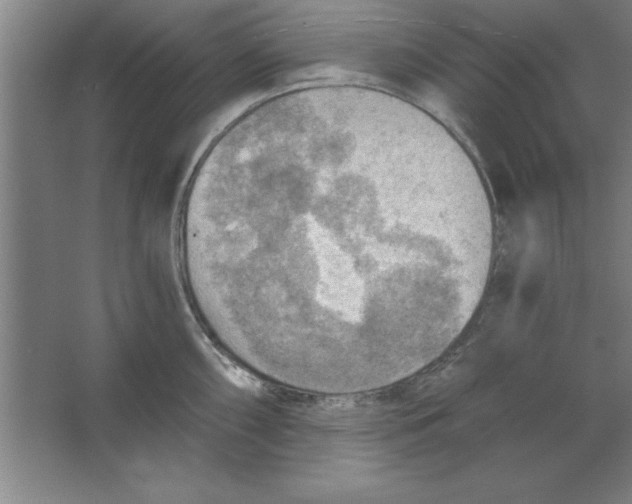 X0000067471098200604281848