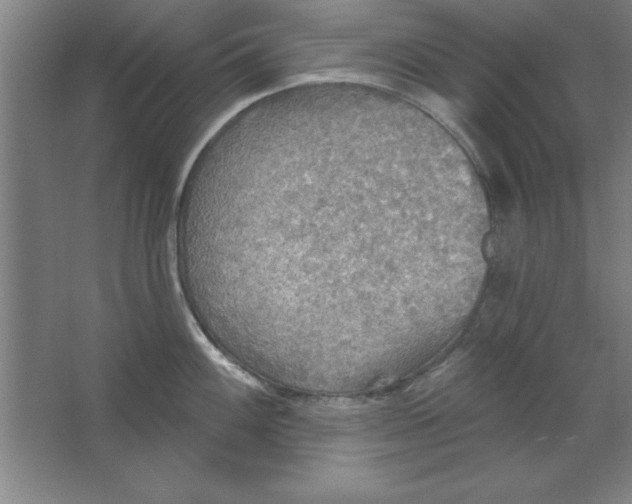 X0000067471100200604281847