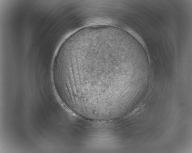 X0000067471104200604281847