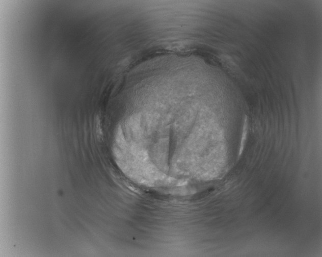 X0000067471106200604281847