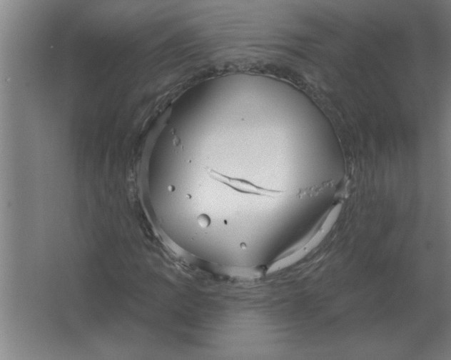 X0000067471109200604281847