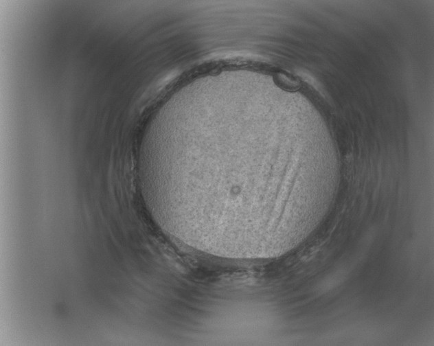 X0000067471111200604281847