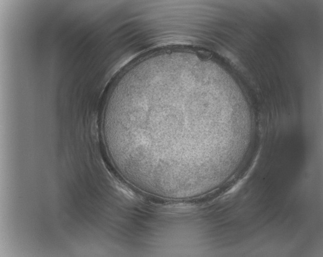 X0000067471113200604281847