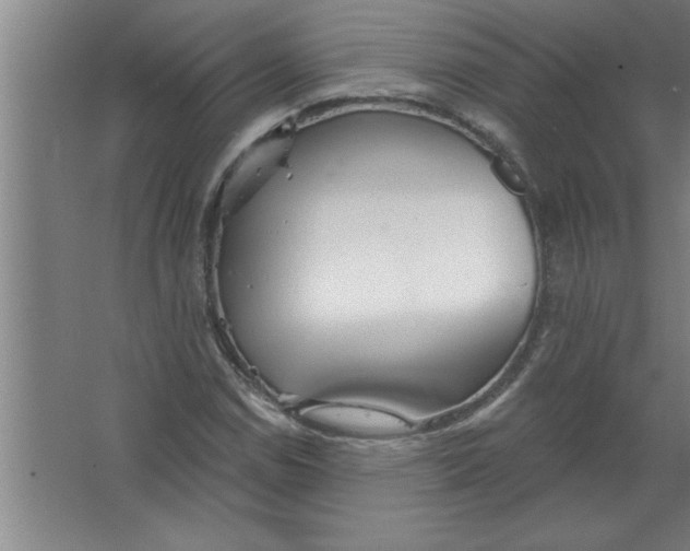 X0000067471114200604281847