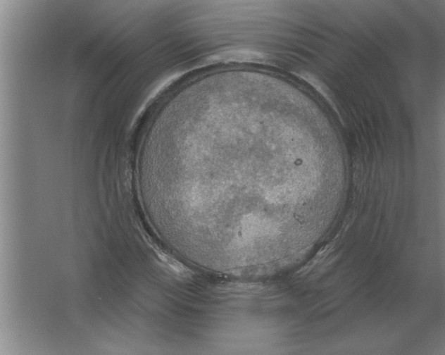 X0000067471115200604281847