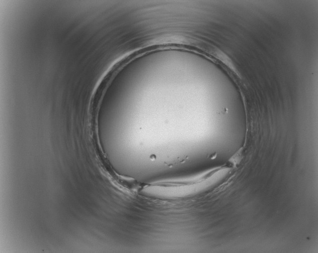 X0000067471116200604281847