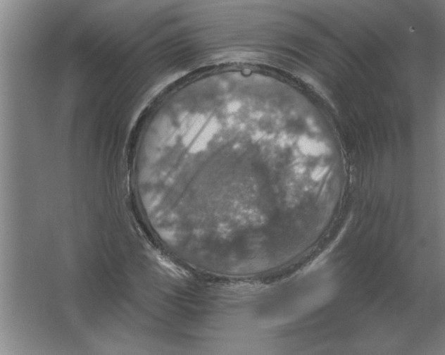 X0000067471117200604281847