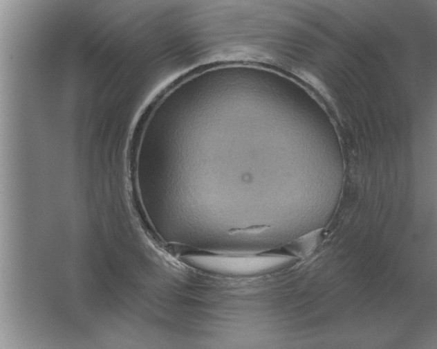 X0000067471120200604281847