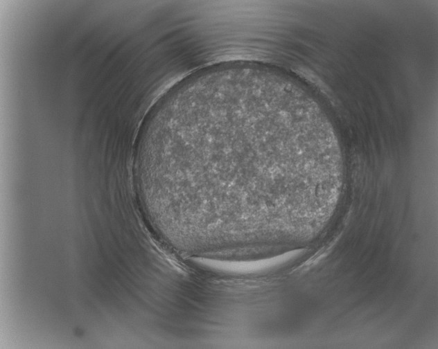 X0000067471121200604281847