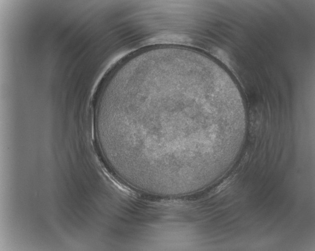 X0000067471123200604281847