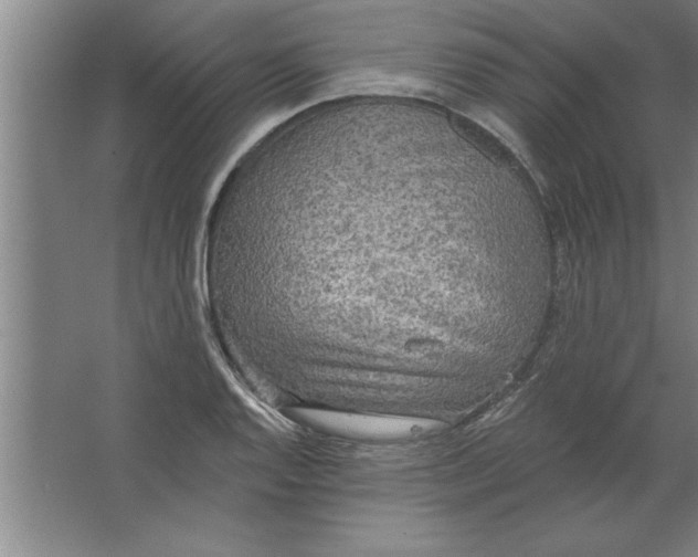 X0000067471128200604281847