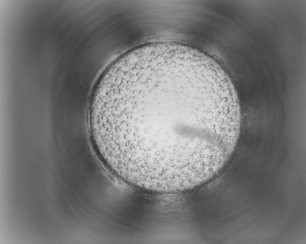 X0000067471130200604281847