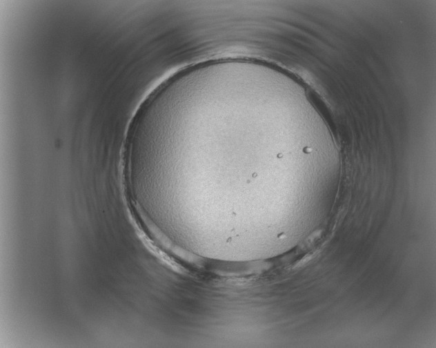 X0000067471134200604281847