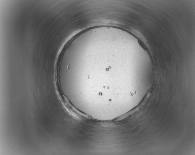 X0000067471136200604281847