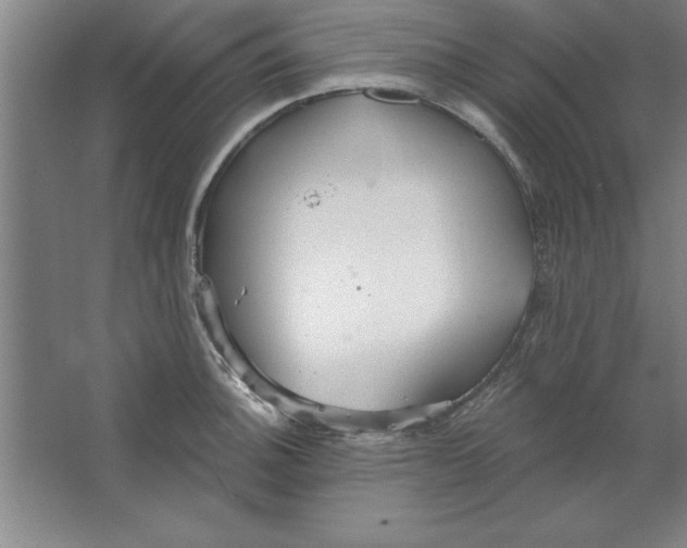 X0000067471140200604281847