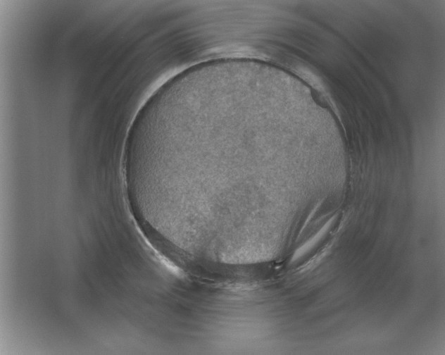 X0000067471141200604281847